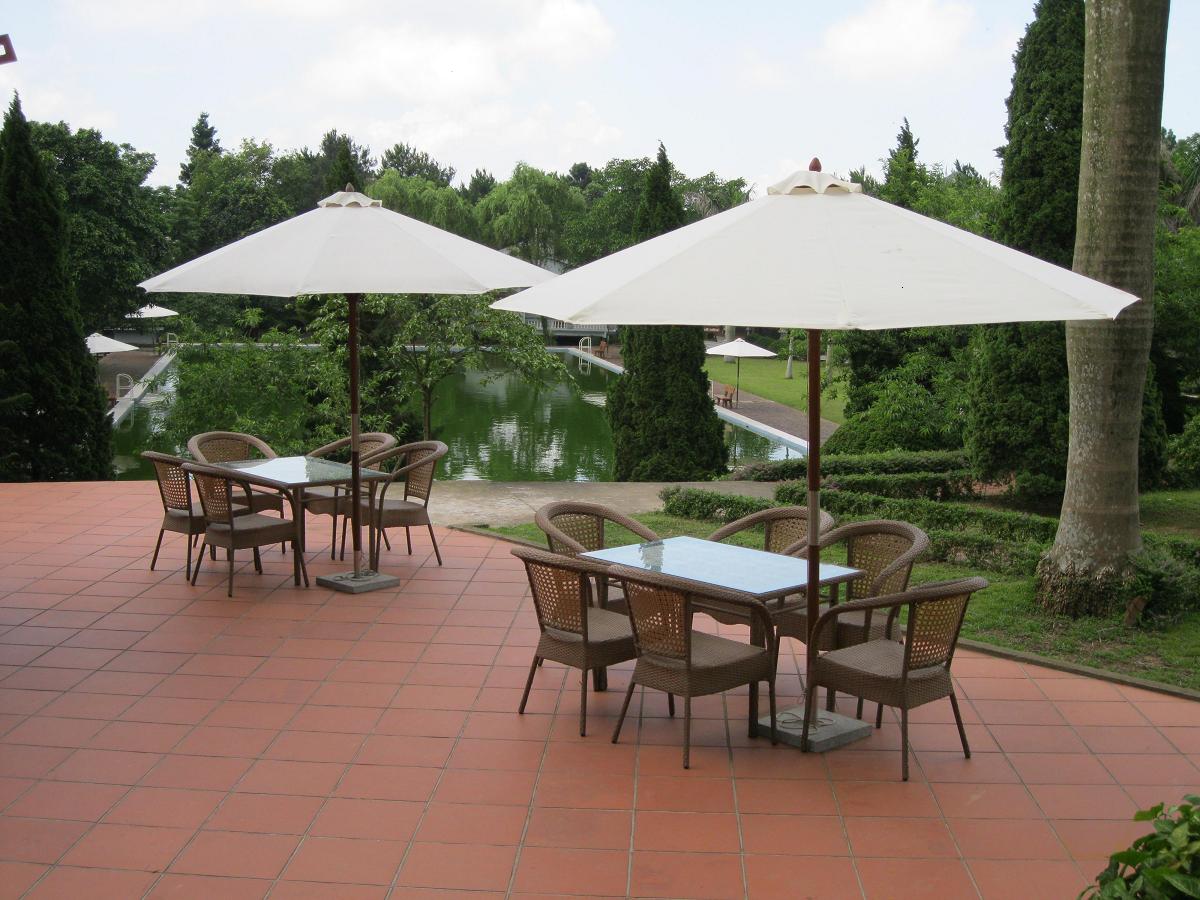 ô cafe giá tốt đẹp 2016